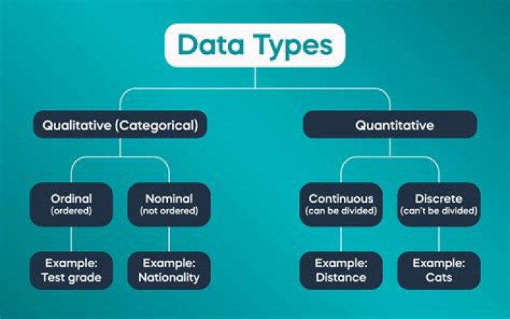 Which type of data is qualitative data?