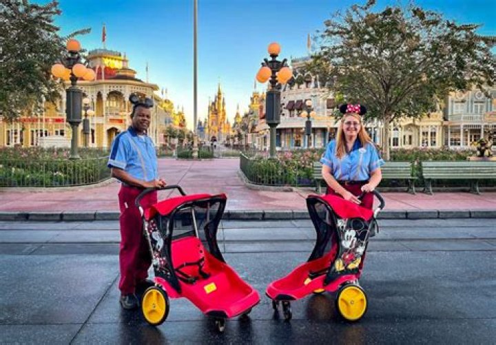 Who has rented out Disneyland?