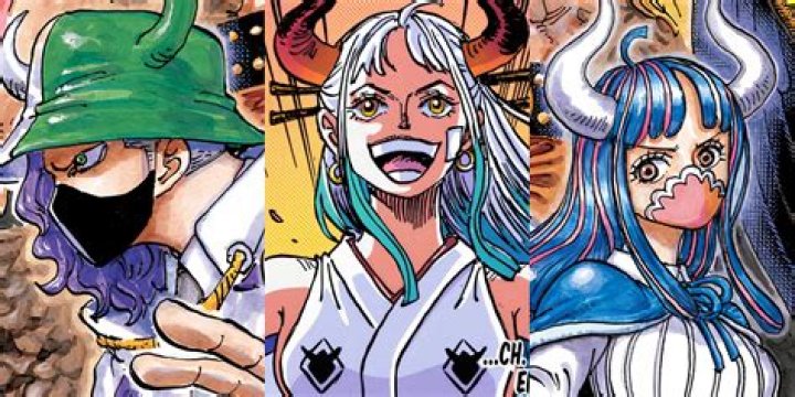Who is the smartest crew in One Piece?