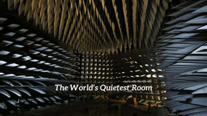 Who spent the longest time in the world's quietest room?