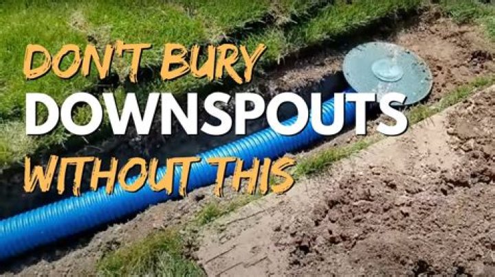 Why can't you bury a chicken?