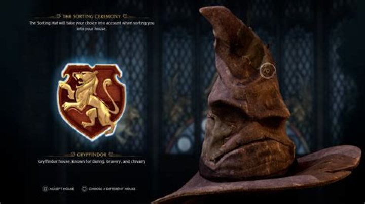 Why didn't the Hat put Harry in Slytherin?