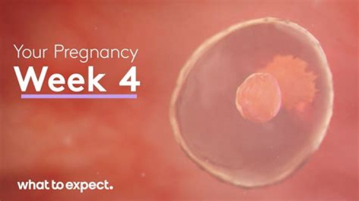 Why do I not feel pregnant at 4 weeks?