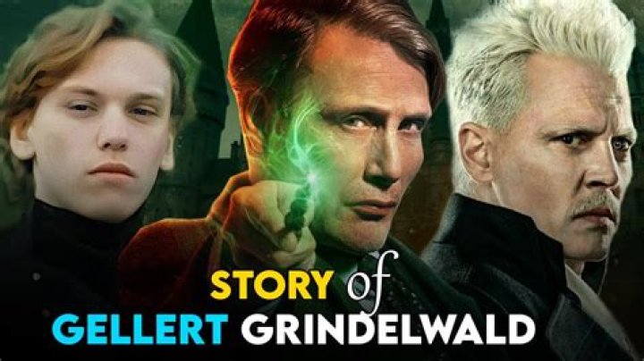 Why does Grindelwald hate Newt?