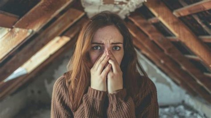 Why does my house smell like septic when it rains?
