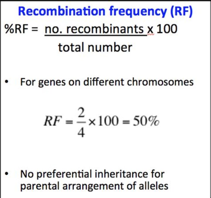Why is 50% recombination the maximum value?