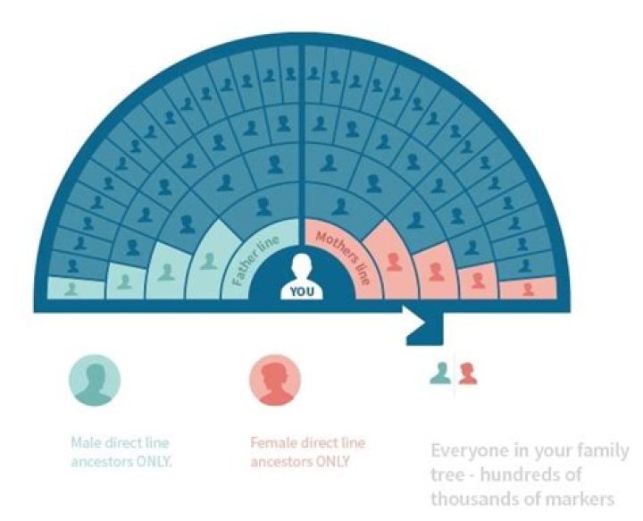 Why is AncestryDNA not accurate?