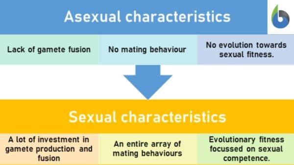 Asexual and sexual reproduction differences Biology Forum